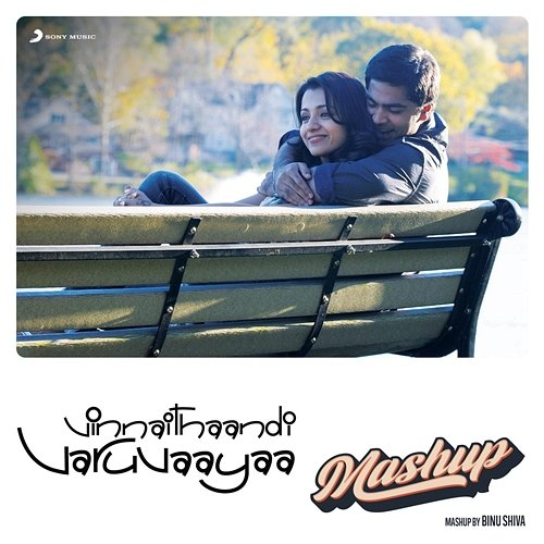 VTV Mashup Binu Shiva