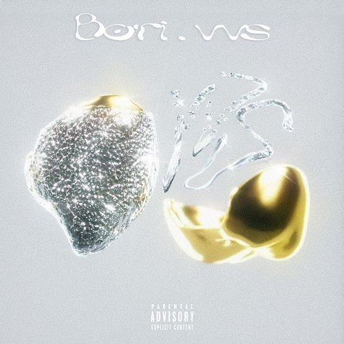 VVS Bori