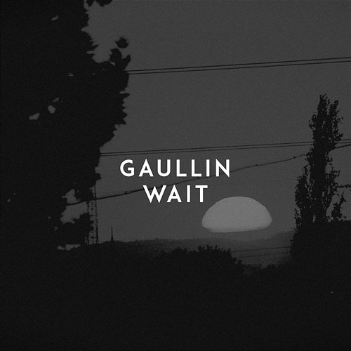 Wait Gaullin
