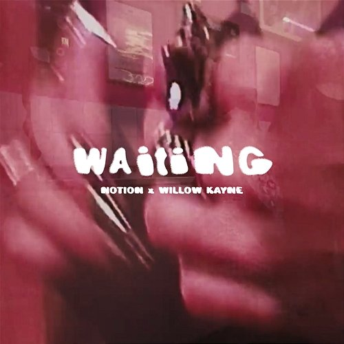 WAITING NotioN, Willow Kayne