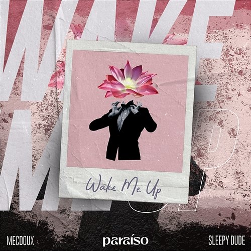 Wake Me Up Mecdoux & sleepy dude