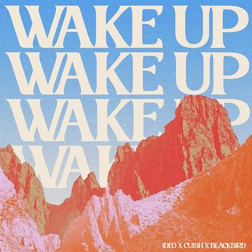 Wake Up Cuish & blackbird, Ideo