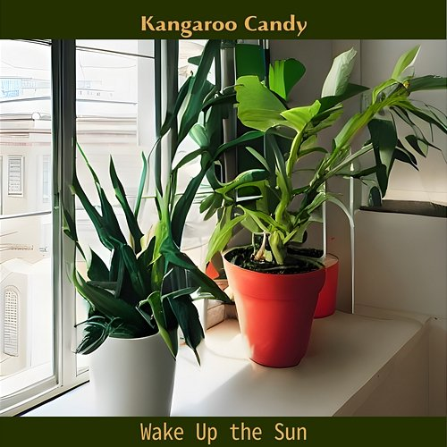 Wake up the Sun Kangaroo Candy