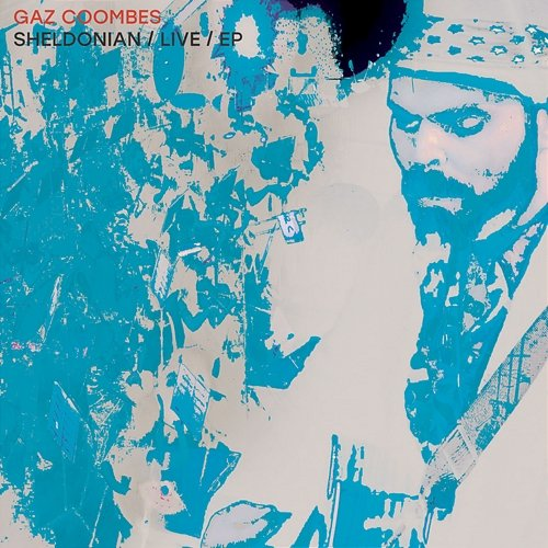 Walk The Walk Gaz Coombes