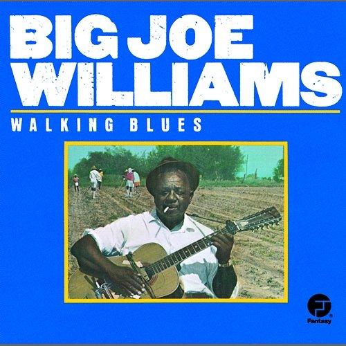 Walking Blues Big Joe Williams