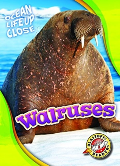 Walruses Kari Schuetz