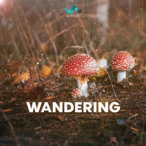 Wandering NS Records