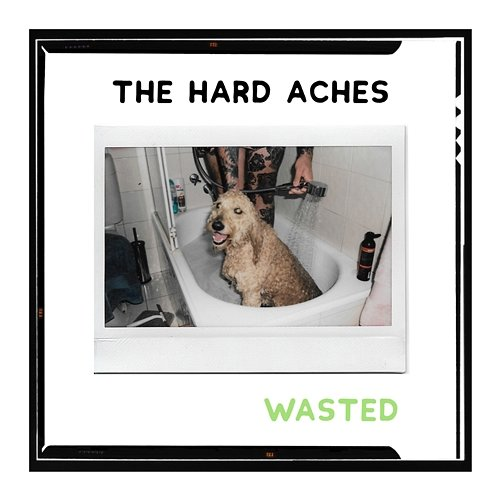 Wasted The Hard Aches