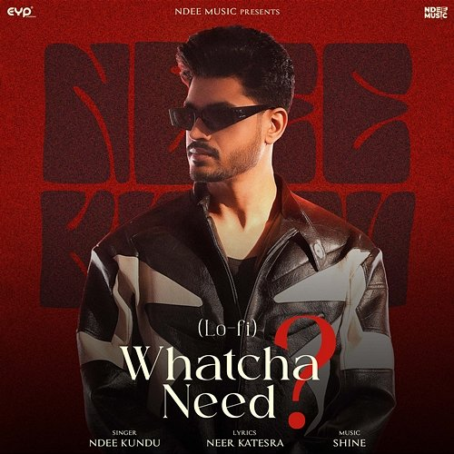 Watcha Need ? Ndee Kundu