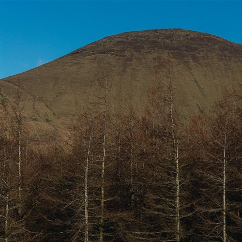 Weave Paddy Mulcahy