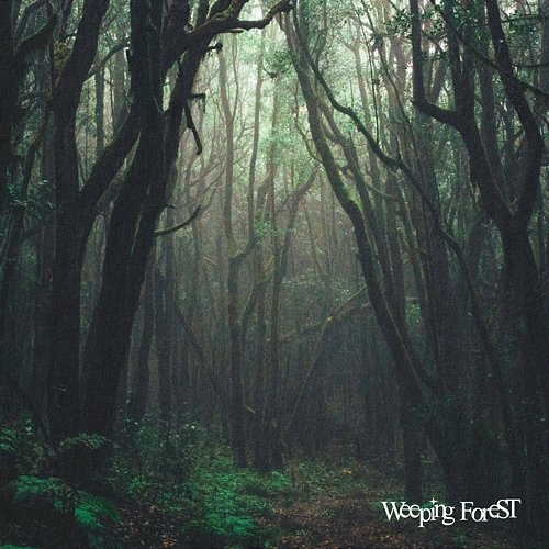 Weeping ForeSt LuD0