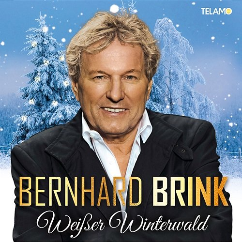 Weißer Winterwald Bernhard Brink