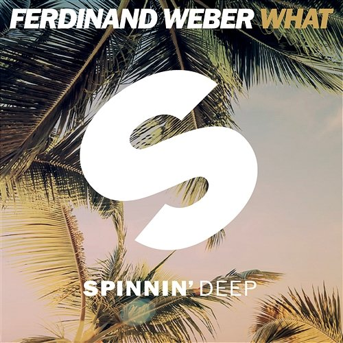 What Ferdinand Weber