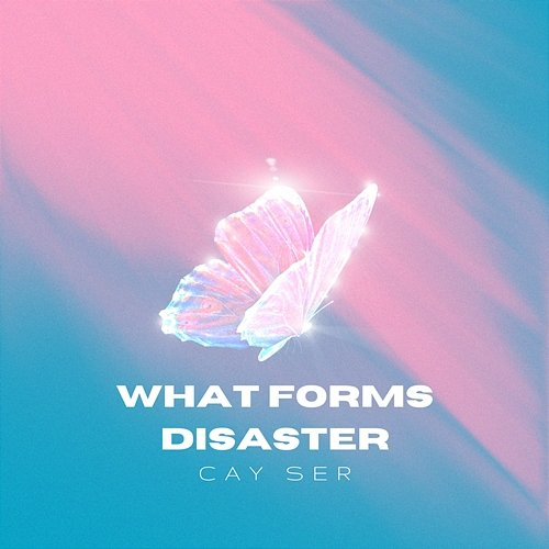 What Forms Disaster Cay Ser