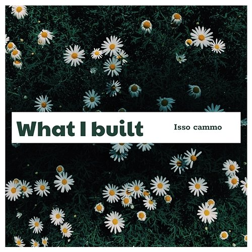 What I Built Isso Cammo