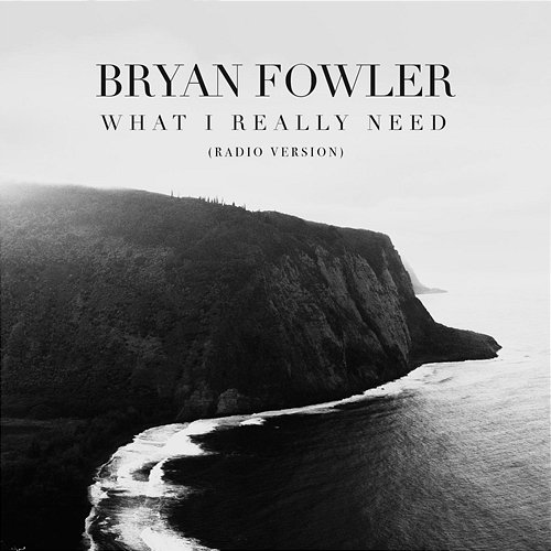 What I Really Need Bryan Fowler