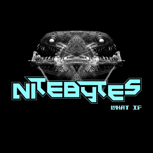 What If Nitebytes