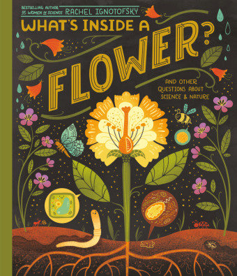 What's Inside A Flower? Penguin Books
