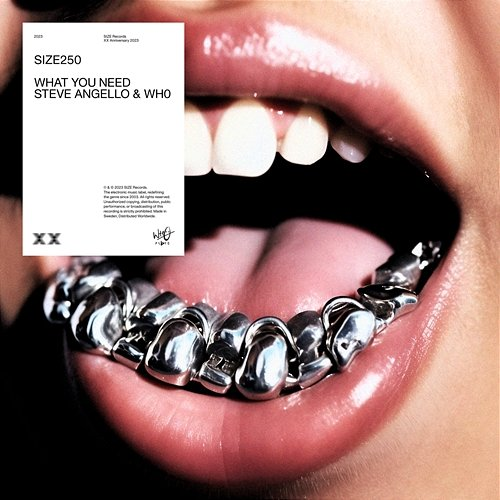 What You Need Steve Angello, Wh0