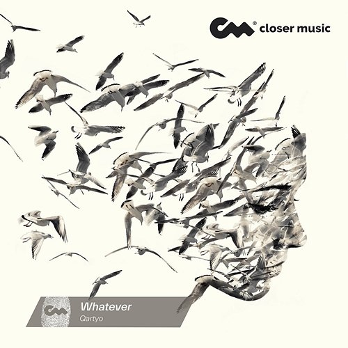 Whatever Qartyo