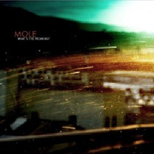 Whats the Meaning? Mole