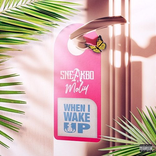 When I Wake Up Sneakbo feat. Moliy