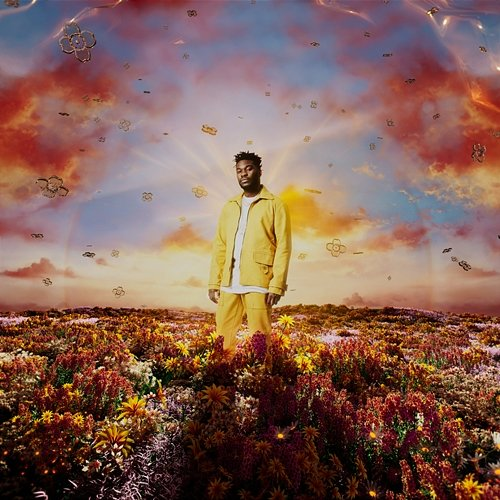 When It Blooms Nonso Amadi