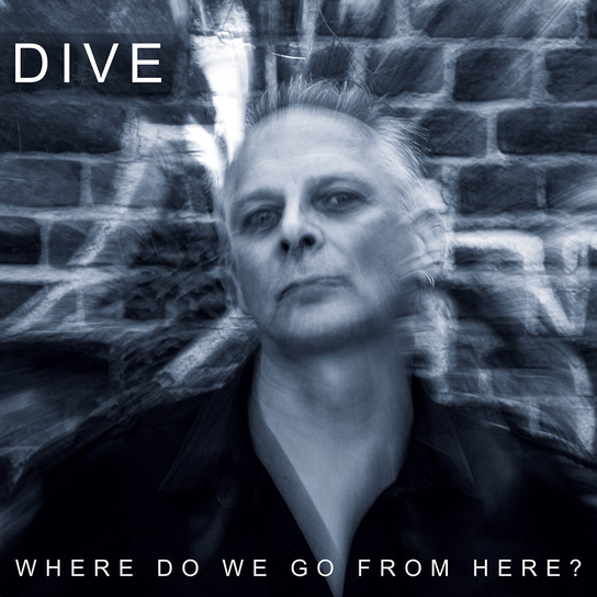 Where Do We Go From Here Dive