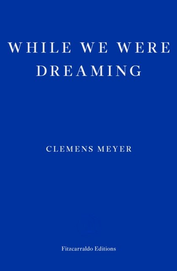 While We Were Dreaming Clemens Meyer