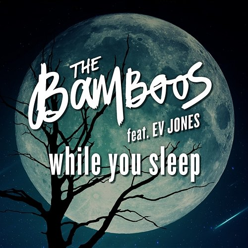 While You Sleep The Bamboos, Ev Jones