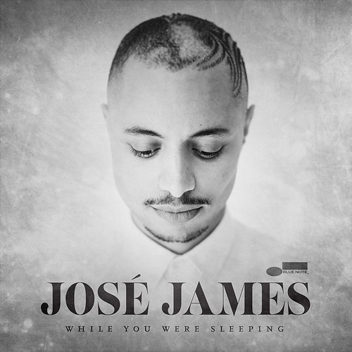 While You Were Sleeping José James