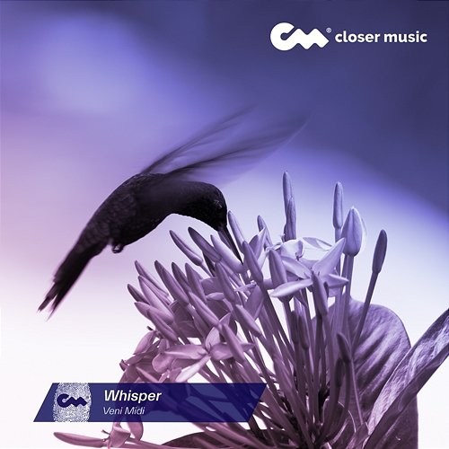 Whisper Veni Midi