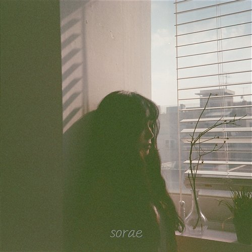 Why SORAE