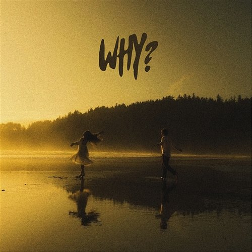 Why? Dilawar, Uday