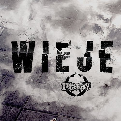 Wieje PTAKY