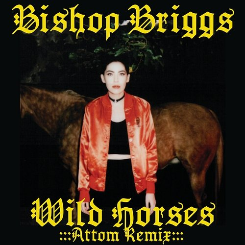 Wild Horses Bishop Briggs