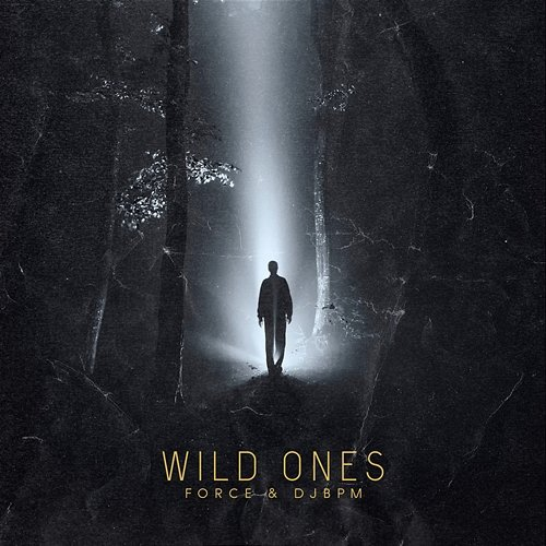Wild Ones Force, DJ Bpm