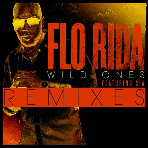 Wild Ones Flo RIda