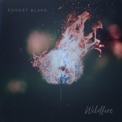 Wildfire Forest Blakk