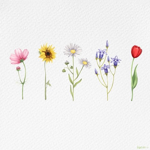 wildflower yung kai