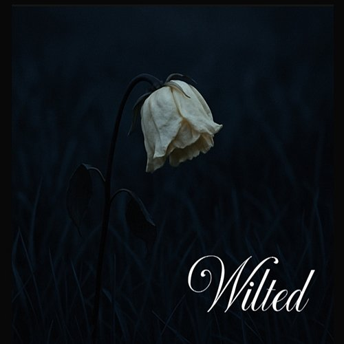 Wilted k4sh