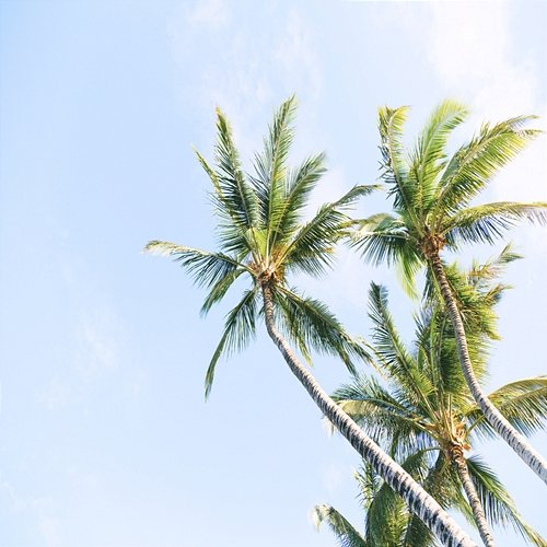 Wind Down Relaxation Sleep Sounds Ambient Noises