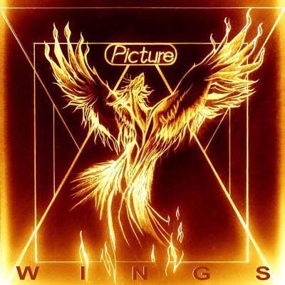 Wings Picture