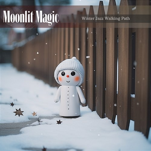 Winter Jazz Walking Path Moonlit Magic