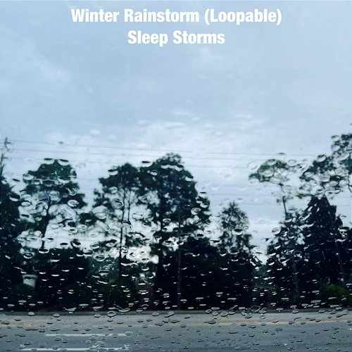 Winter Rainstorm Sleep Storms