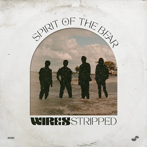 Wires Spirit of the Bear