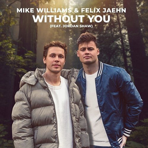 Without You Felix Jaehn, Jordan Shaw, Mike Williams