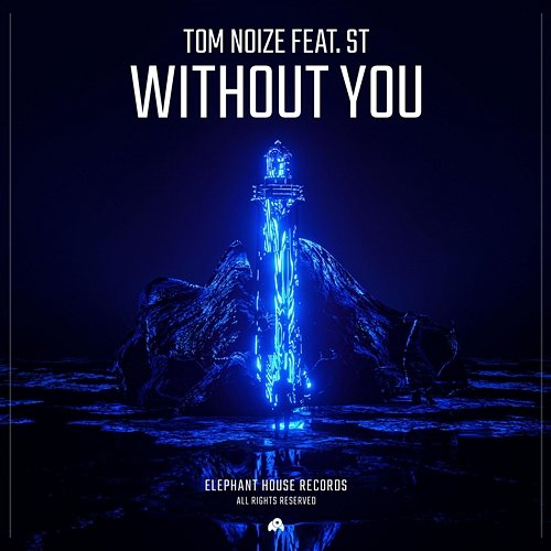 Without You Tom Noize, ST
