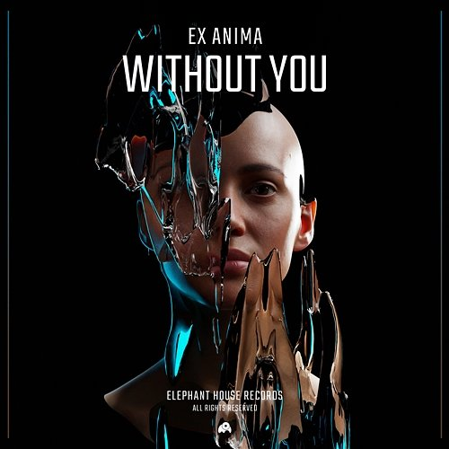Without You Ex Anima