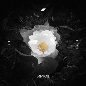 Without You Avicii